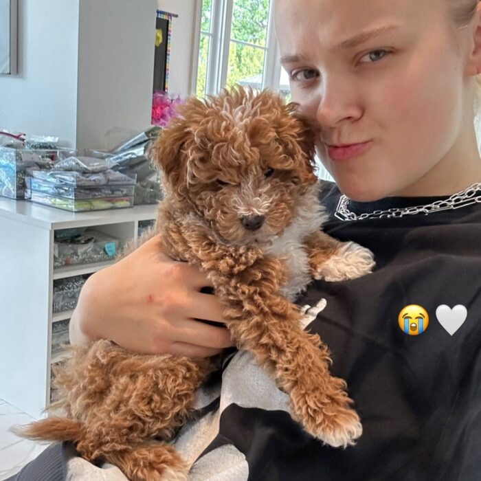 JoJo Siwa Mourns Death of Her Puppy After He Suffers Fatal Accident - E! Online