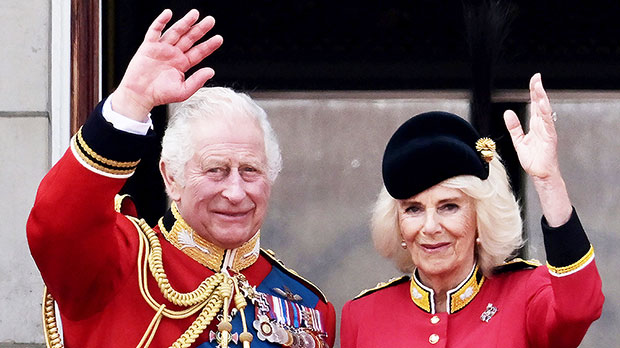 King Charles, 74, Is Regal On Horseback For 1st Trooping Of The Color: Footage